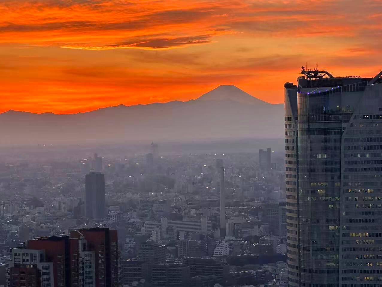 東京-富士-箱根的黃金組合