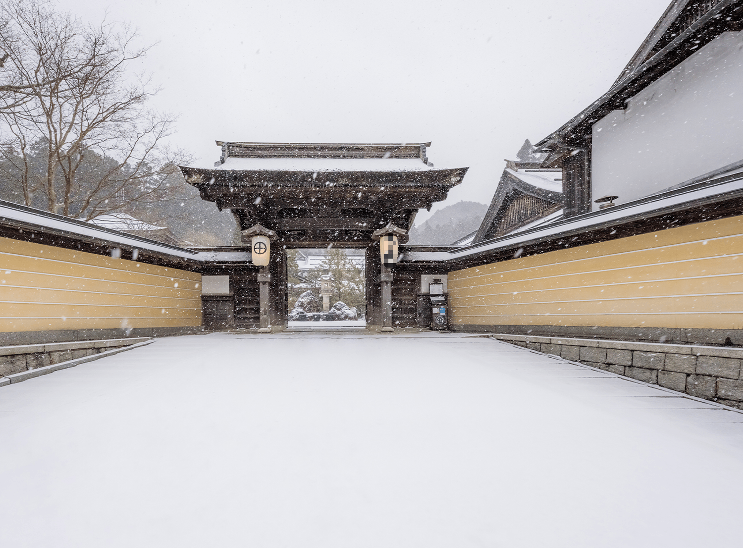 熊野/那智周邊｜温泉旅館（在地體驗）