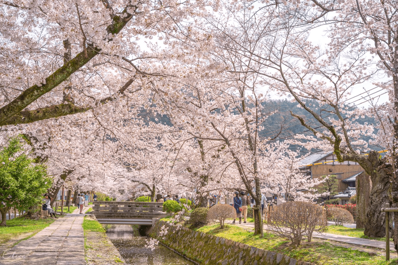 京都 · 哲学之道