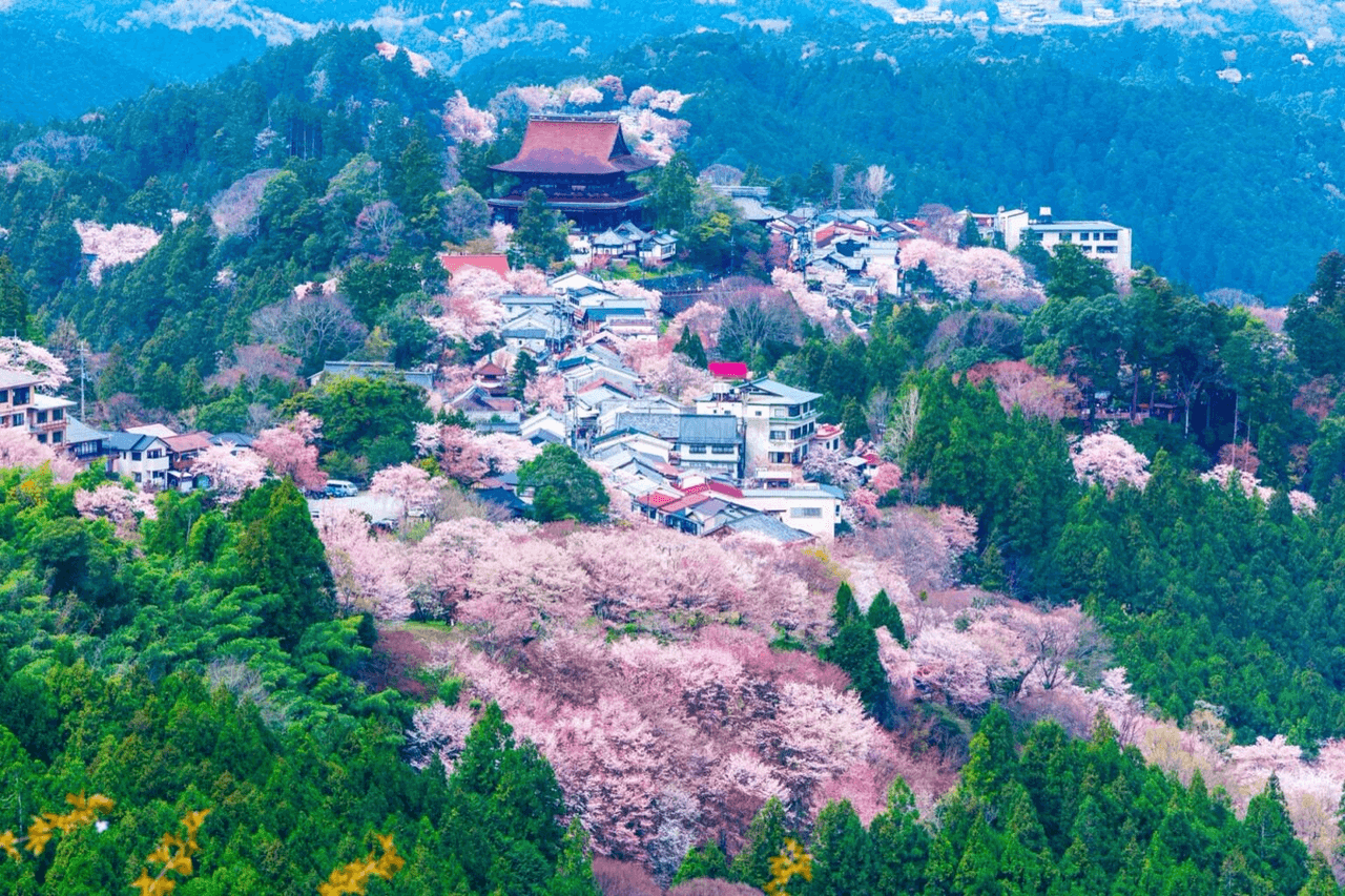 奈良 · 吉野山